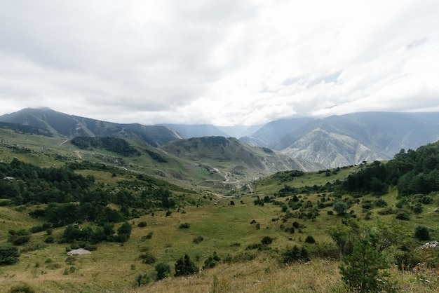 Beautiful mountains and wildlife around them on a Sunny day.