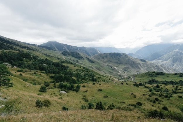 Beautiful mountains and wildlife around them on a Sunny day.