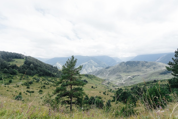 Beautiful mountains and wildlife around them on a Sunny day.