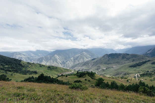 Beautiful mountains and wildlife around them on a Sunny day