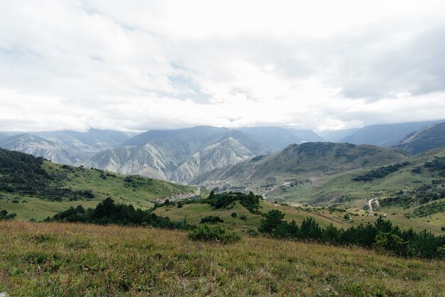 Beautiful mountains and wildlife around them on a Sunny day.