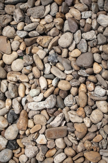 Beautiful multicolored pebbles on the sea rest