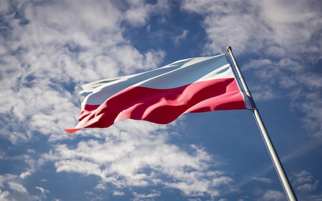 Beautiful national state flag of Poland fluttering on blue sky