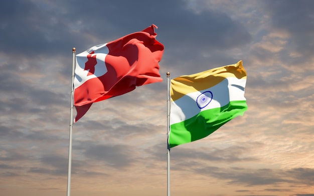 Beautiful national state flags of Tonga and India together