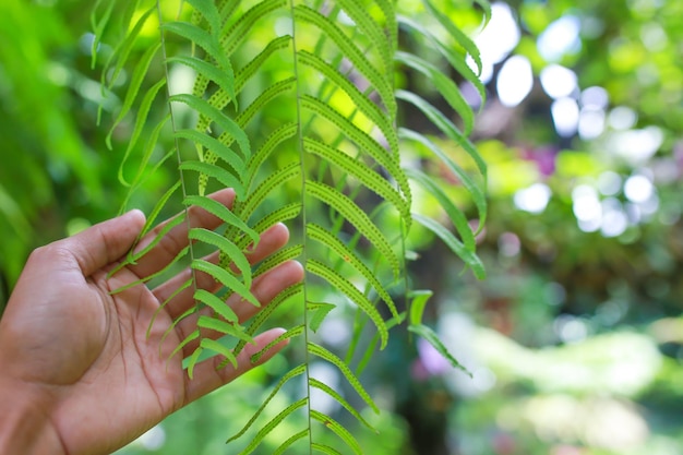 Beautiful natural background. Close up of shot in nature.