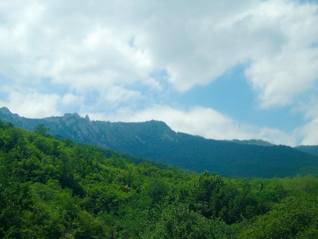 Beautiful natural green landscape with mountains photo