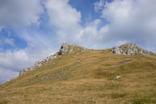 Beautiful natural landscape in the summer time