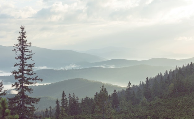 Beautiful natural landscapes in Carpathian mountains