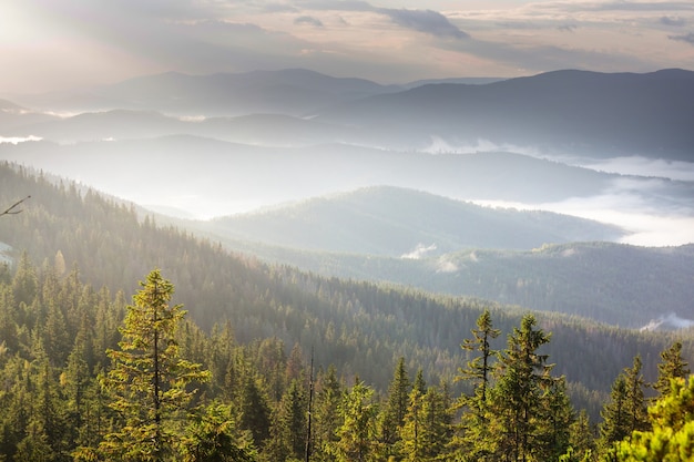 Beautiful natural landscapes in Carpathian mountains