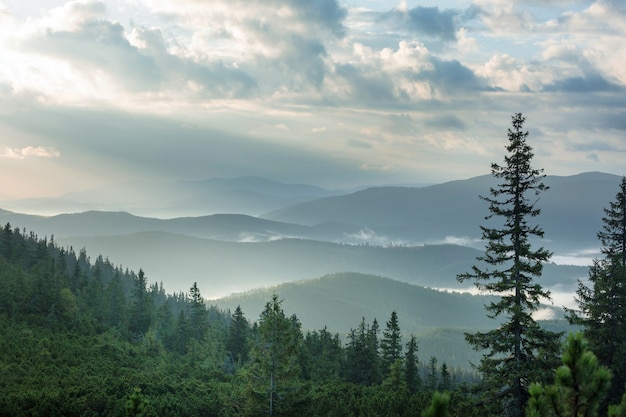 Beautiful natural landscapes in Carpathian mountains