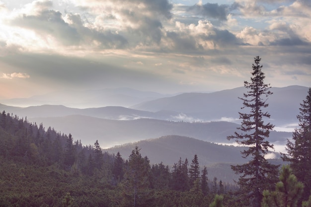 Beautiful natural landscapes in Carpathian mountains