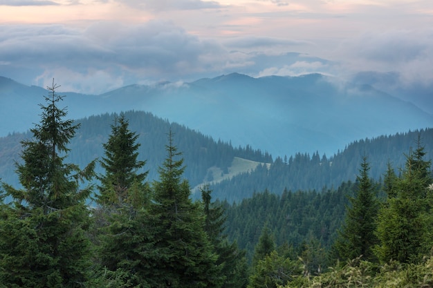 Beautiful natural landscapes in Carpathian mountains