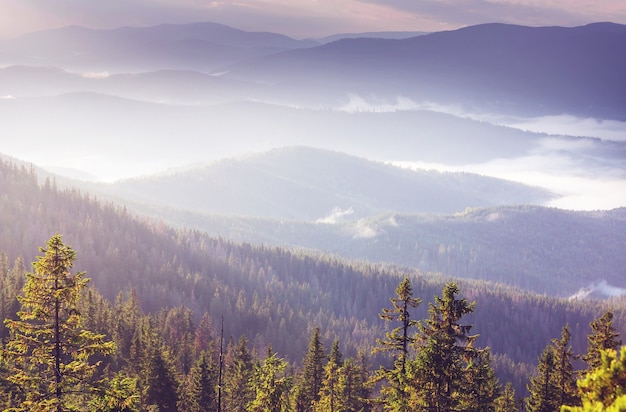 Beautiful natural landscapes in Carpathian mountains