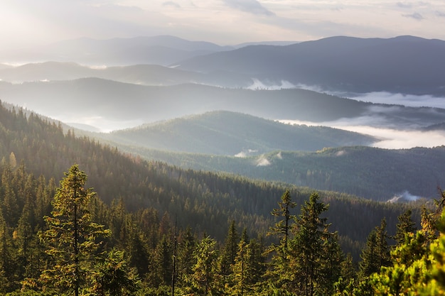 Beautiful natural landscapes in Carpathian mountains