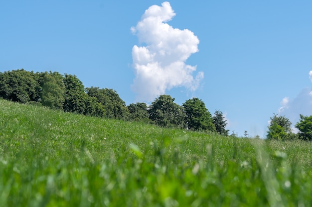 Beautiful natural vegetation hilly landscape on a sunny summer day