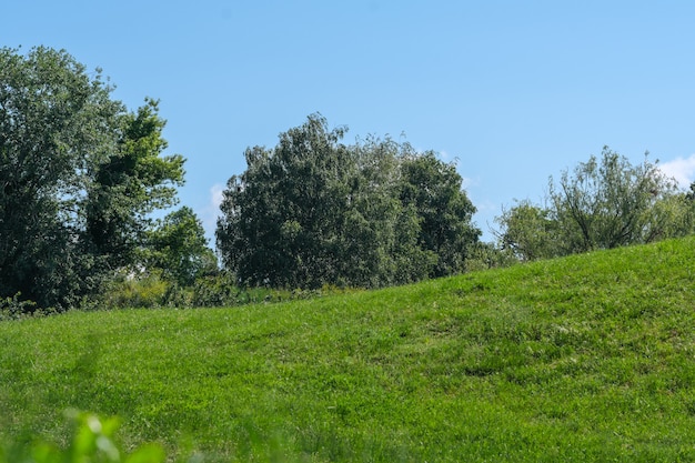 Beautiful natural vegetation hilly landscape on a sunny summer day