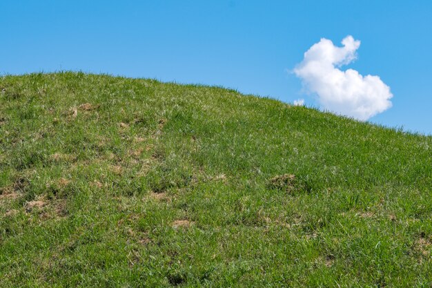 Beautiful natural vegetation hilly landscape on a sunny summer day