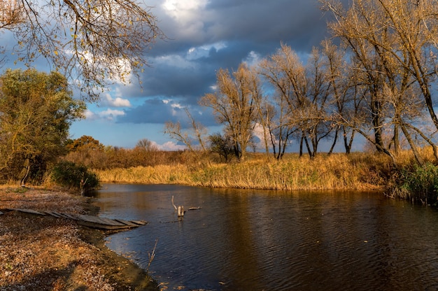 Beautiful nature and autumn landscape with yellow trees on bank of Don river