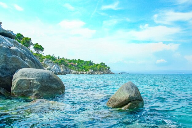 Beautiful nature by the sea on nature in the park background