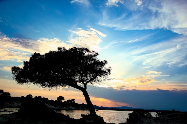 Beautiful nature by the sea