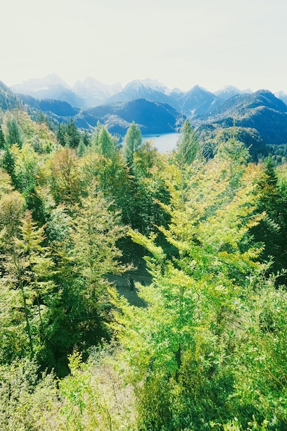 Beautiful nature of European Alps landscape view of alpine mountains lake and village in spring season travel and destination