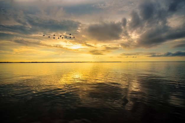 Beautiful nature landscape, bright golden sunlight in the sky and silhouette flock of birds flying for a living in the morning during the sunrise over Songkhla Lake, Phatthalung province, Thailand