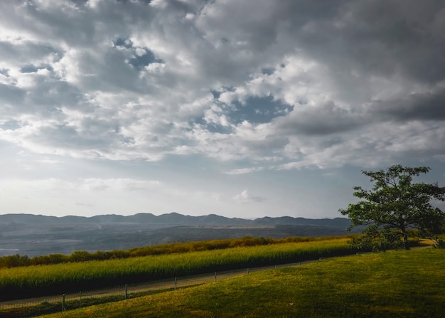 Beautiful nature landscape and cloudy sky background