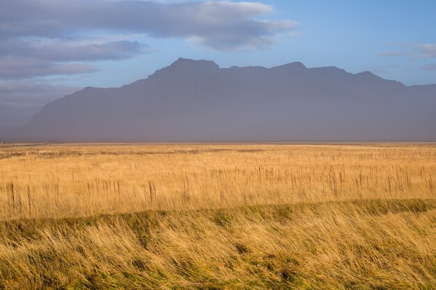 Beautiful nature landscape in Iceland