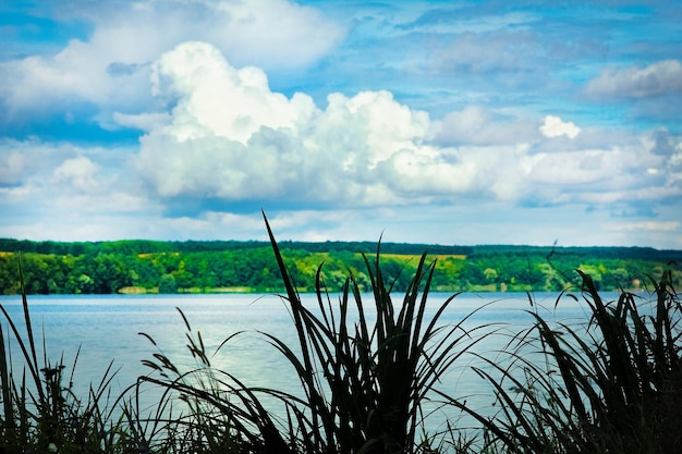 Beautiful nature near the river with sky background