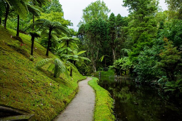 Beautiful nature of san miguel island azores portugal