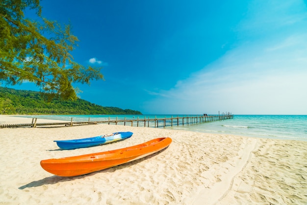 Beautiful nature tropical beach and sea with coconut palm tree on paradise island