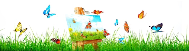 Beautiful nature view of butterfly on blurred background in garden