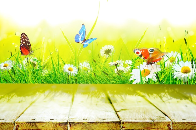 Beautiful nature view of butterfly on wooden background.