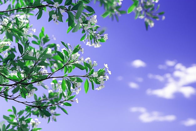 Beautiful Nature View of Flowering Plant with Leaves in Blue Sky