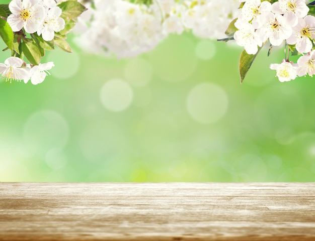 Beautiful nature view of spring flowering trees on blurred background