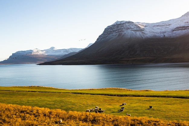 The beautiful nature of the volcanic island of Iceland