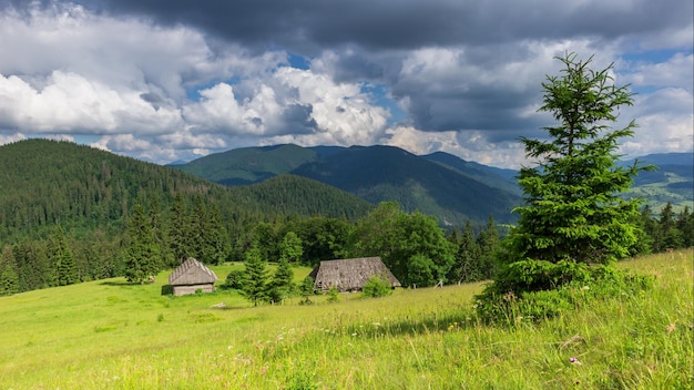 Beautiful nature and a wonderful landscape with lush green forests and vegetation around the pearl of the Carpathians Lake Synevyr Carpathians in Ukraine Mystical fog over the great firs