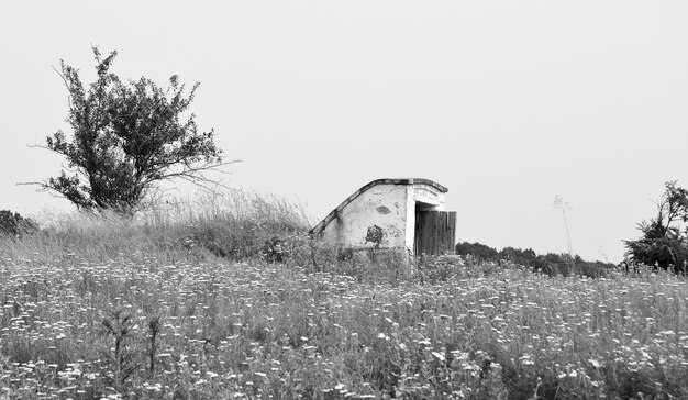 Photo beautiful old abandoned building farm house in countryside on natural background photography consisting of old abandoned building farm house at wild grass old abandoned building farm house over sky