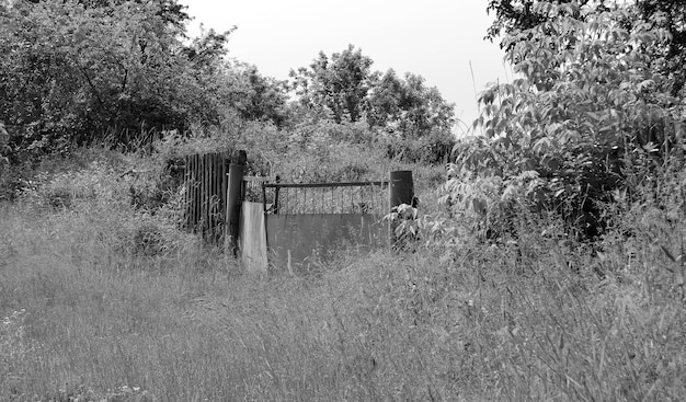 Beautiful old gate from abandoned house in village on natural background photography consisting