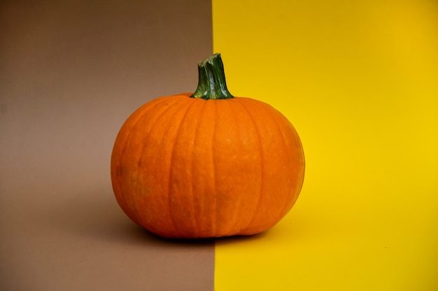 A beautiful orange pumpkin lies on a yellowbrown background