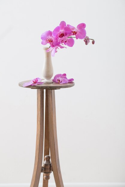 Beautiful orchids in vase on old vase