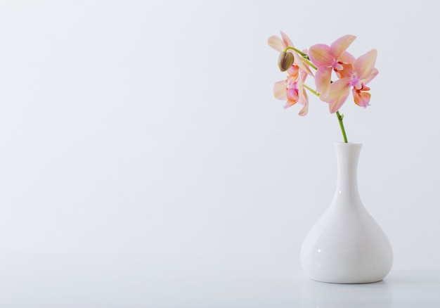 Beautiful orchids in white vase on white table