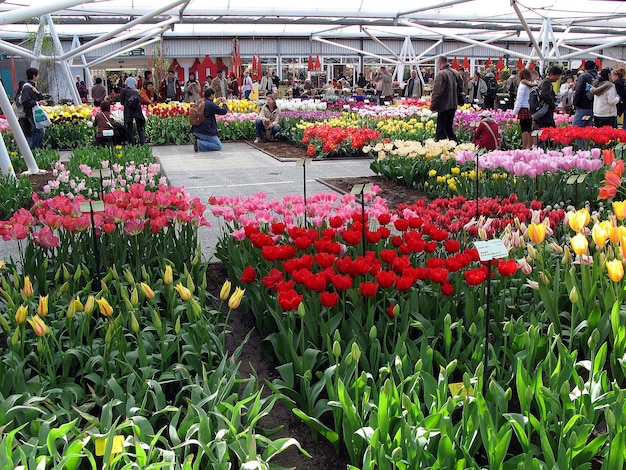 beautiful original decoration of exhibition halls. Many blue, white, pink colorful flowers, Holland