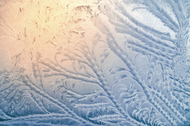 Beautiful ornament on the frosted winter window