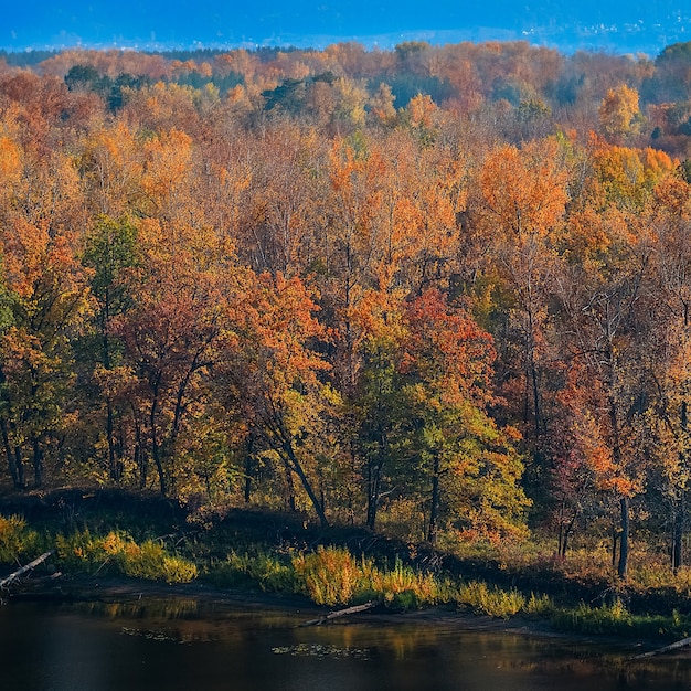 Beautiful panorama of the autumn forest, on the mountain hills.