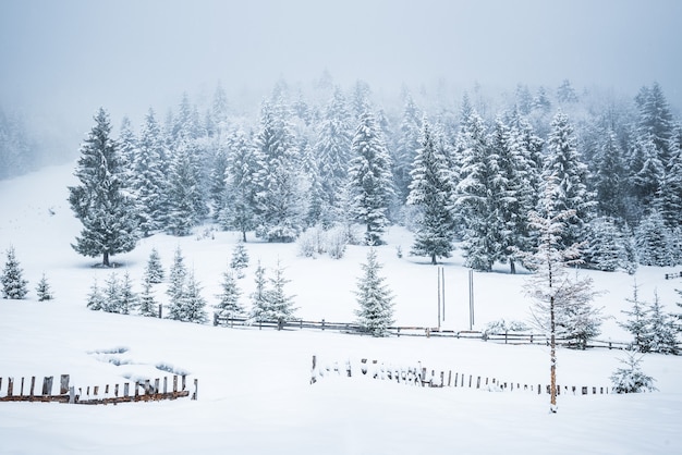 Beautiful panorama of fences peeping out from under high snowdrifts in fog