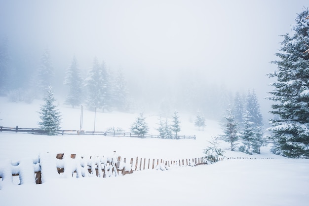 Beautiful panorama of fences peeping out from under high snowdrifts