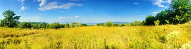 Beautiful panorama of Kaniv Reservoir shore, Ukraine, in sunny day with bright blue sky