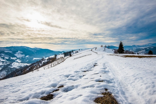 Beautiful panorama of mountain slopes with trails overlooking the hills and coniferous forests overcast and frosty on a winter evening