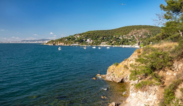 Beautiful panoramic view of the Black Sea with yachts and the city in the background Rocky coast with trees and pines on a sunny summer day